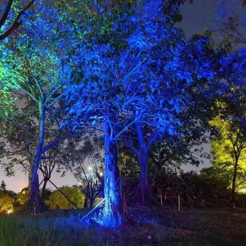 WIN-E Illumination's Landscape Lighting: Elevate outdoor aesthetics with innovative solutions, combining art and technology for captivating and well-lit natural surroundings.